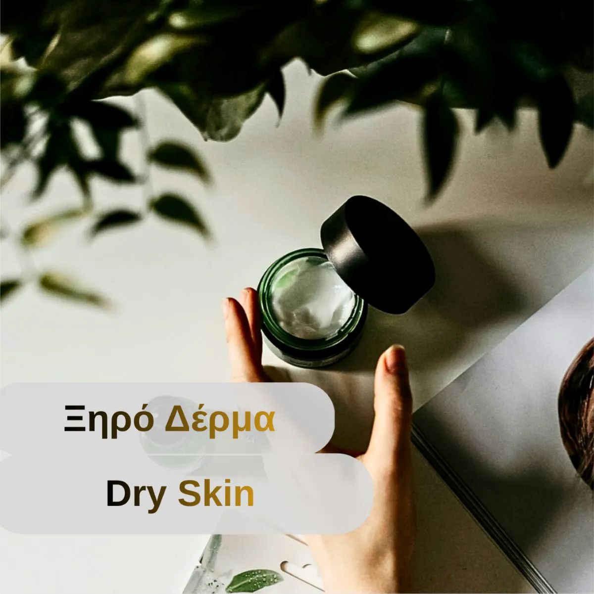 Ξηρό & Αφυδατωμένο Δέρμα