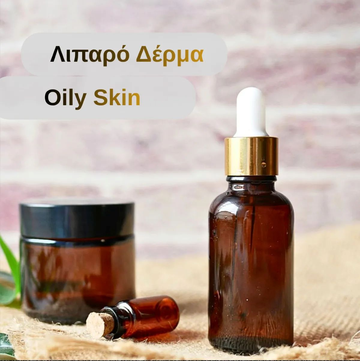 Λιπαρό Δέρμα